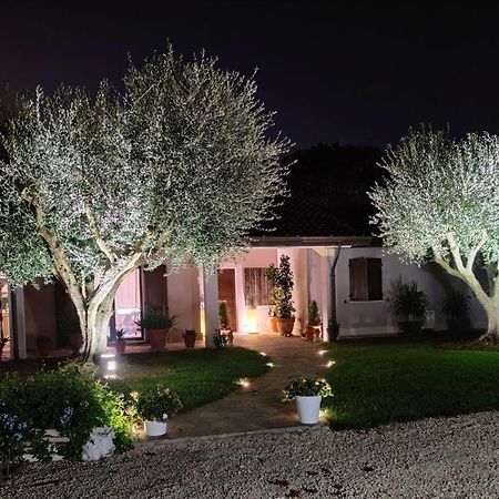 B&B Flavio E Catia Marotta Dış mekan fotoğraf